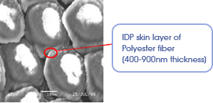 IDP skin layer of Polyester fiber(400-900 nm thickness)